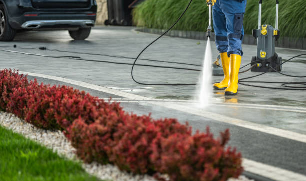 Best Soft Washing  in Glenwood City, WI